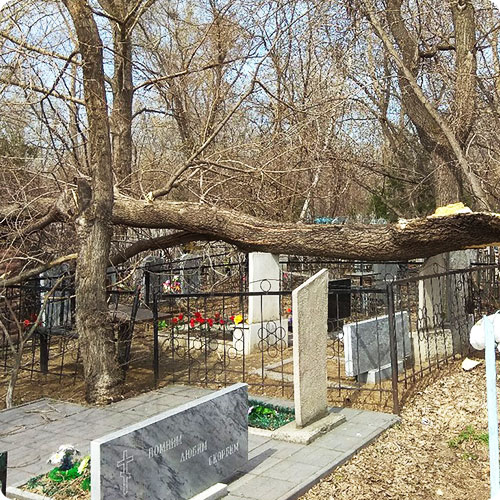 Благоустройство могил | Уборка  поваленного дерева