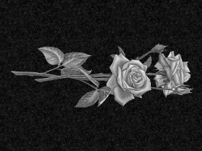 Цветы | Рисунок две розы, ЦВ-005